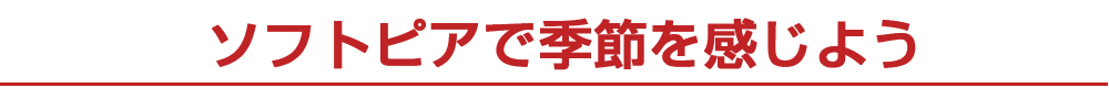 ソフトピアで季節を感じよう