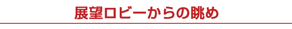 展望ロビーからの眺め